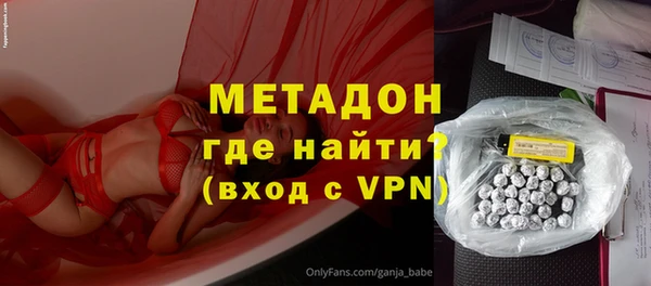 шишки Няндома