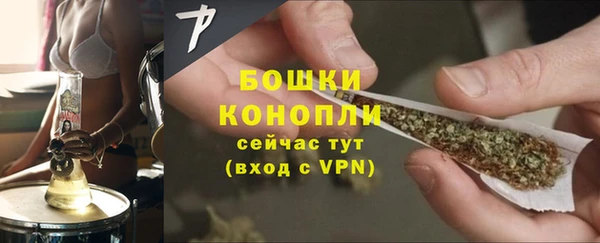 гидра Бородино